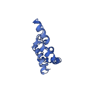 6769_5y6p_P1_v1-0
Structure of the phycobilisome from the red alga Griffithsia pacifica