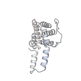 6769_5y6p_P3_v1-0
Structure of the phycobilisome from the red alga Griffithsia pacifica