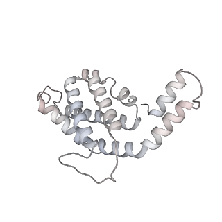 6769_5y6p_P9_v1-0
Structure of the phycobilisome from the red alga Griffithsia pacifica