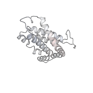 6769_5y6p_Q8_v1-0
Structure of the phycobilisome from the red alga Griffithsia pacifica
