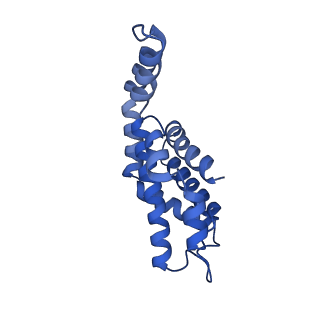 6769_5y6p_R1_v1-0
Structure of the phycobilisome from the red alga Griffithsia pacifica