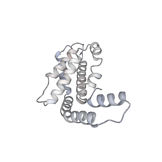 6769_5y6p_S3_v1-0
Structure of the phycobilisome from the red alga Griffithsia pacifica