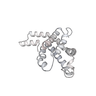 6769_5y6p_S9_v1-0
Structure of the phycobilisome from the red alga Griffithsia pacifica
