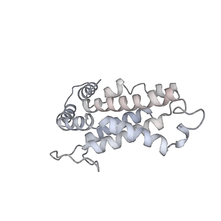 6769_5y6p_T3_v1-0
Structure of the phycobilisome from the red alga Griffithsia pacifica