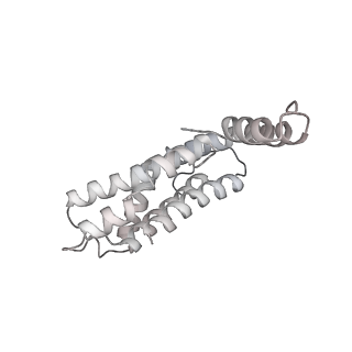 6769_5y6p_T4_v1-0
Structure of the phycobilisome from the red alga Griffithsia pacifica