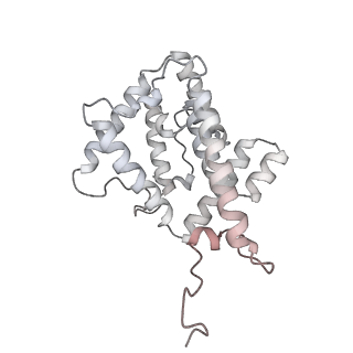 6769_5y6p_T8_v1-0
Structure of the phycobilisome from the red alga Griffithsia pacifica