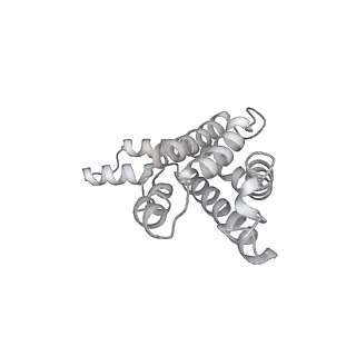 6769_5y6p_U5_v1-0
Structure of the phycobilisome from the red alga Griffithsia pacifica