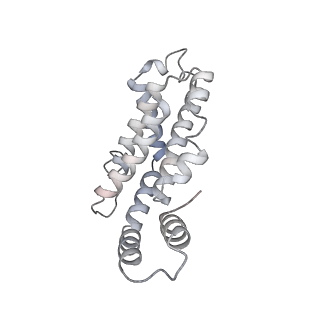 6769_5y6p_V3_v1-0
Structure of the phycobilisome from the red alga Griffithsia pacifica