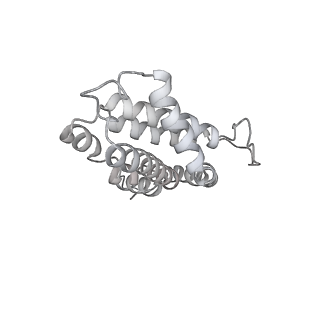6769_5y6p_V4_v1-0
Structure of the phycobilisome from the red alga Griffithsia pacifica