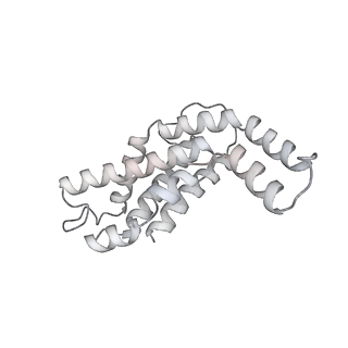 6769_5y6p_V5_v1-0
Structure of the phycobilisome from the red alga Griffithsia pacifica