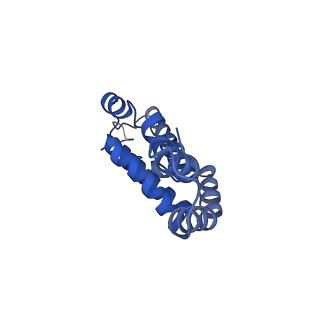 6769_5y6p_W1_v1-0
Structure of the phycobilisome from the red alga Griffithsia pacifica