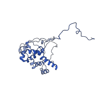 6769_5y6p_W9_v1-0
Structure of the phycobilisome from the red alga Griffithsia pacifica