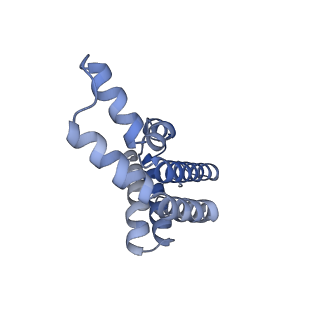 6769_5y6p_X1_v1-0
Structure of the phycobilisome from the red alga Griffithsia pacifica