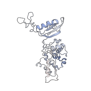 6769_5y6p_X5_v1-0
Structure of the phycobilisome from the red alga Griffithsia pacifica