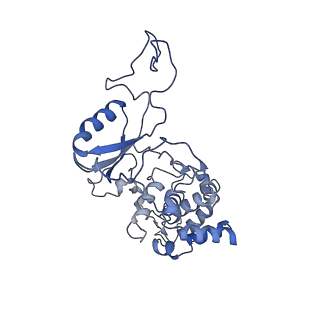 6769_5y6p_X9_v1-0
Structure of the phycobilisome from the red alga Griffithsia pacifica
