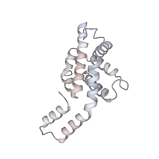 6769_5y6p_Y3_v1-0
Structure of the phycobilisome from the red alga Griffithsia pacifica