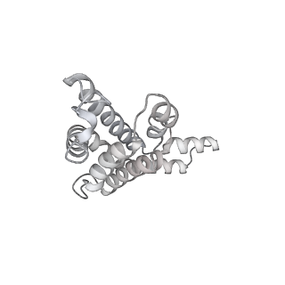 6769_5y6p_Y4_v1-0
Structure of the phycobilisome from the red alga Griffithsia pacifica