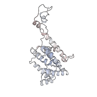 6769_5y6p_Y5_v1-0
Structure of the phycobilisome from the red alga Griffithsia pacifica