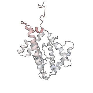 6769_5y6p_Y9_v1-0
Structure of the phycobilisome from the red alga Griffithsia pacifica