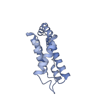 6769_5y6p_Z1_v1-0
Structure of the phycobilisome from the red alga Griffithsia pacifica