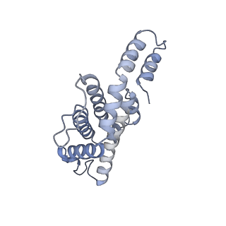 6769_5y6p_Z2_v1-0
Structure of the phycobilisome from the red alga Griffithsia pacifica