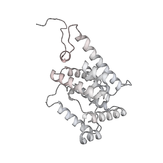 6769_5y6p_Z5_v1-0
Structure of the phycobilisome from the red alga Griffithsia pacifica
