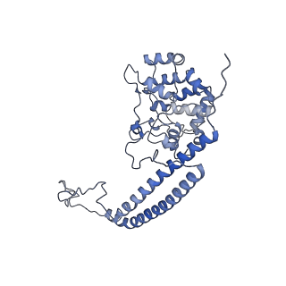 6769_5y6p_a8_v1-0
Structure of the phycobilisome from the red alga Griffithsia pacifica