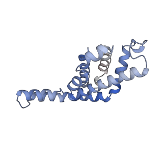 6769_5y6p_aC_v1-0
Structure of the phycobilisome from the red alga Griffithsia pacifica