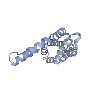 6769_5y6p_aG_v1-0
Structure of the phycobilisome from the red alga Griffithsia pacifica