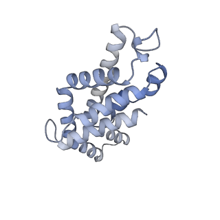 6769_5y6p_aI_v1-0
Structure of the phycobilisome from the red alga Griffithsia pacifica