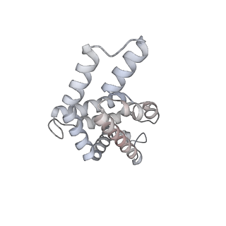 6769_5y6p_aK_v1-0
Structure of the phycobilisome from the red alga Griffithsia pacifica