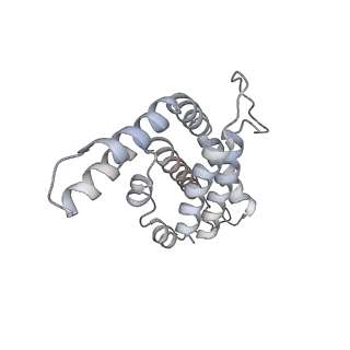6769_5y6p_aN_v1-0
Structure of the phycobilisome from the red alga Griffithsia pacifica