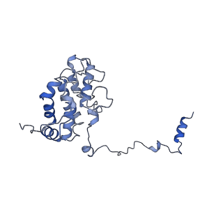 6769_5y6p_aW_v1-0
Structure of the phycobilisome from the red alga Griffithsia pacifica