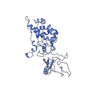 6769_5y6p_aX_v1-0
Structure of the phycobilisome from the red alga Griffithsia pacifica