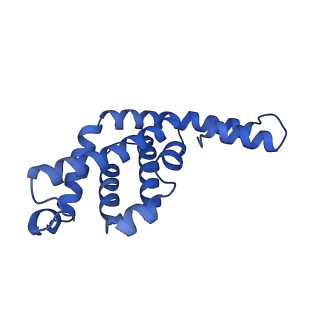 6769_5y6p_ac_v1-0
Structure of the phycobilisome from the red alga Griffithsia pacifica