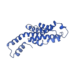 6769_5y6p_ag_v1-0
Structure of the phycobilisome from the red alga Griffithsia pacifica