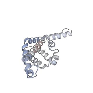 6769_5y6p_ay_v1-0
Structure of the phycobilisome from the red alga Griffithsia pacifica