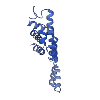 6769_5y6p_b1_v1-0
Structure of the phycobilisome from the red alga Griffithsia pacifica