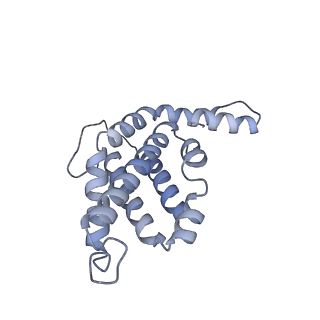 6769_5y6p_bF_v1-0
Structure of the phycobilisome from the red alga Griffithsia pacifica
