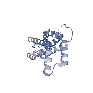 6769_5y6p_bJ_v1-0
Structure of the phycobilisome from the red alga Griffithsia pacifica