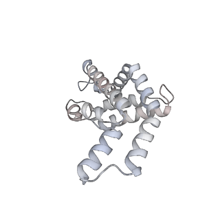 6769_5y6p_bK_v1-0
Structure of the phycobilisome from the red alga Griffithsia pacifica