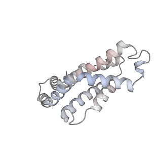 6769_5y6p_bM_v1-0
Structure of the phycobilisome from the red alga Griffithsia pacifica