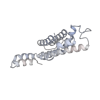 6769_5y6p_bP_v1-0
Structure of the phycobilisome from the red alga Griffithsia pacifica