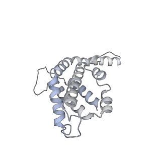 6769_5y6p_bR_v1-0
Structure of the phycobilisome from the red alga Griffithsia pacifica