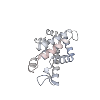 6769_5y6p_bU_v1-0
Structure of the phycobilisome from the red alga Griffithsia pacifica