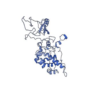 6769_5y6p_bX_v1-0
Structure of the phycobilisome from the red alga Griffithsia pacifica