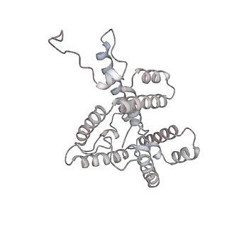 6769_5y6p_bZ_v1-0
Structure of the phycobilisome from the red alga Griffithsia pacifica