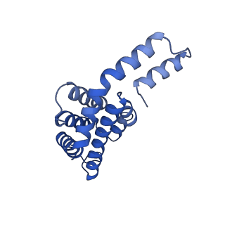 6769_5y6p_ba_v1-0
Structure of the phycobilisome from the red alga Griffithsia pacifica