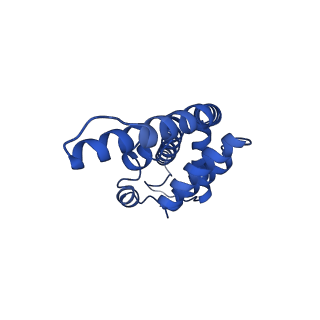 6769_5y6p_bg_v1-0
Structure of the phycobilisome from the red alga Griffithsia pacifica