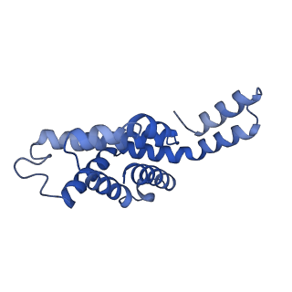6769_5y6p_bv_v1-0
Structure of the phycobilisome from the red alga Griffithsia pacifica